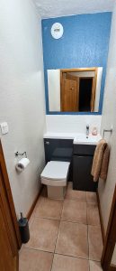 toilet and washbasin