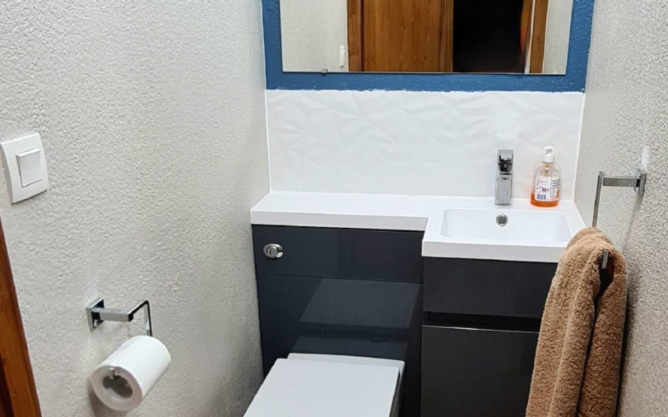 toilet and washbasin